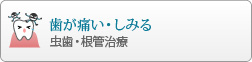 歯が痛い・しみる
				虫歯・根管治療